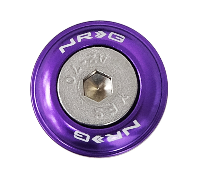 NRG Fender Washer Kit, Set of 10, Purple, Rivets for Plastic FW-100PP Photo - Primary