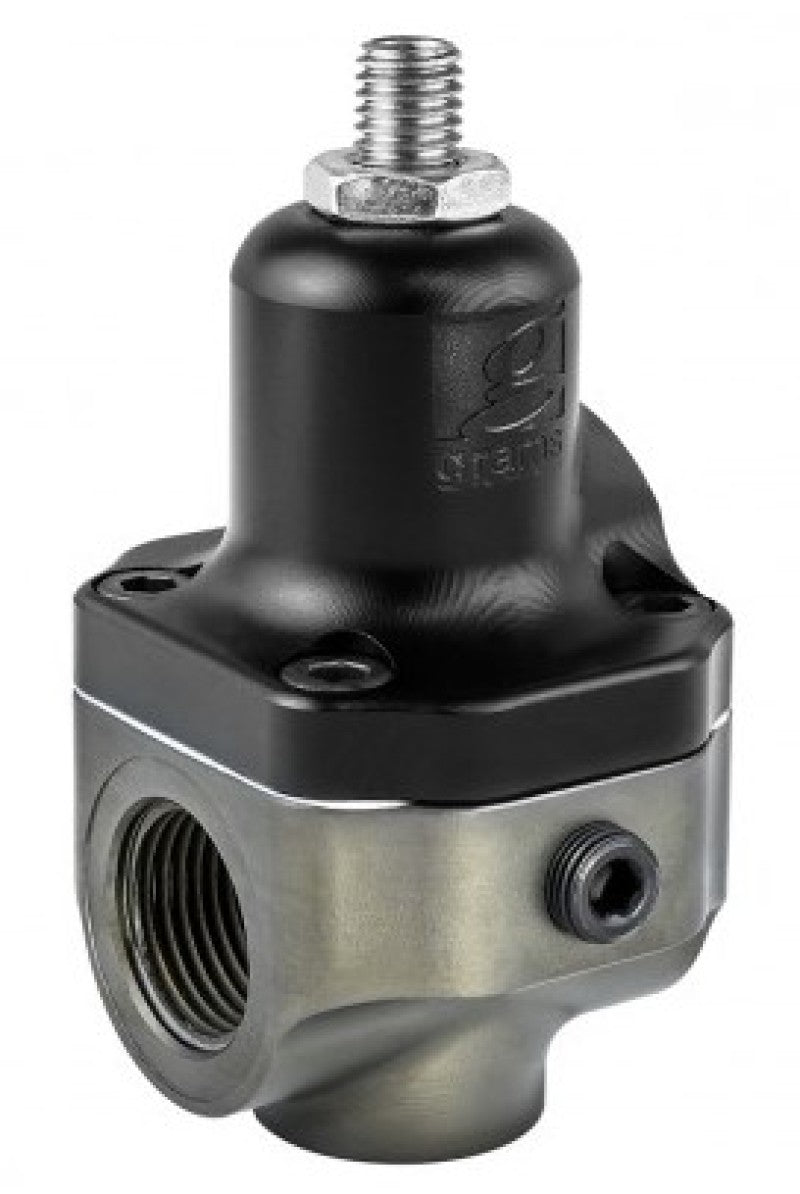 Grams Performance 100 Micron Replacement Filter Element G60-99-9100 G60-99-9100 User 1