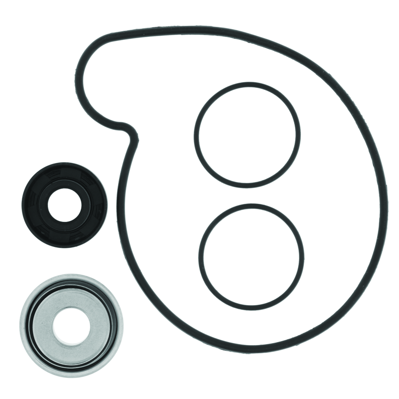 QuadBoss Qb Water Pump Rebuild Kit 565294 565294 Photo - Primary