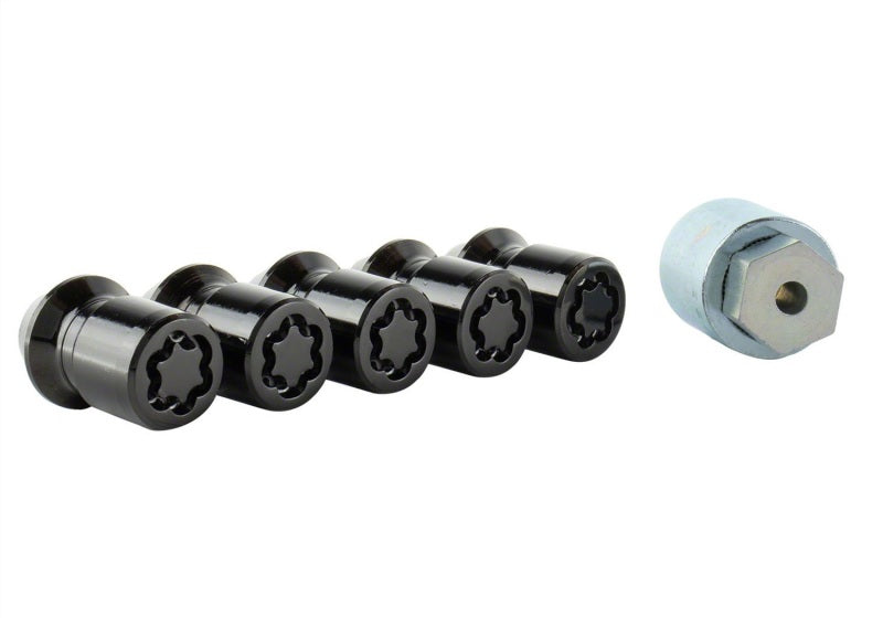 Ford Racing M12X1.5 Black Security Lug Nut - Set of 5 M-1A043-B5 M-1A043-B5 Photo - Unmounted