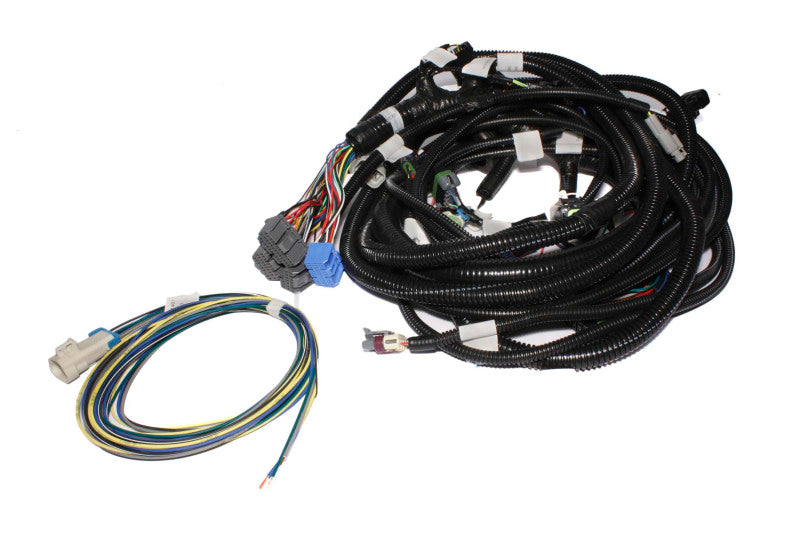 FAST Fuel Management Wiring Harness 301108 Photo - Primary