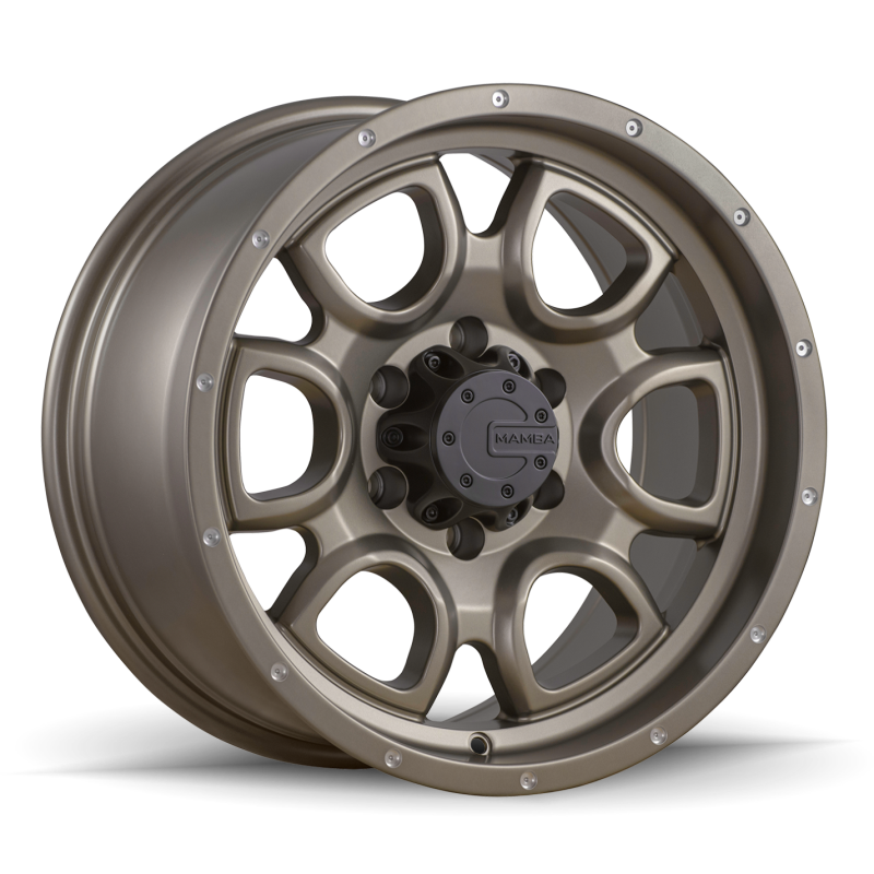 Mamba M19 Wheel Bronze w/ Drill Holes 15x8 -25 5x114.3 M195865N258 User 1