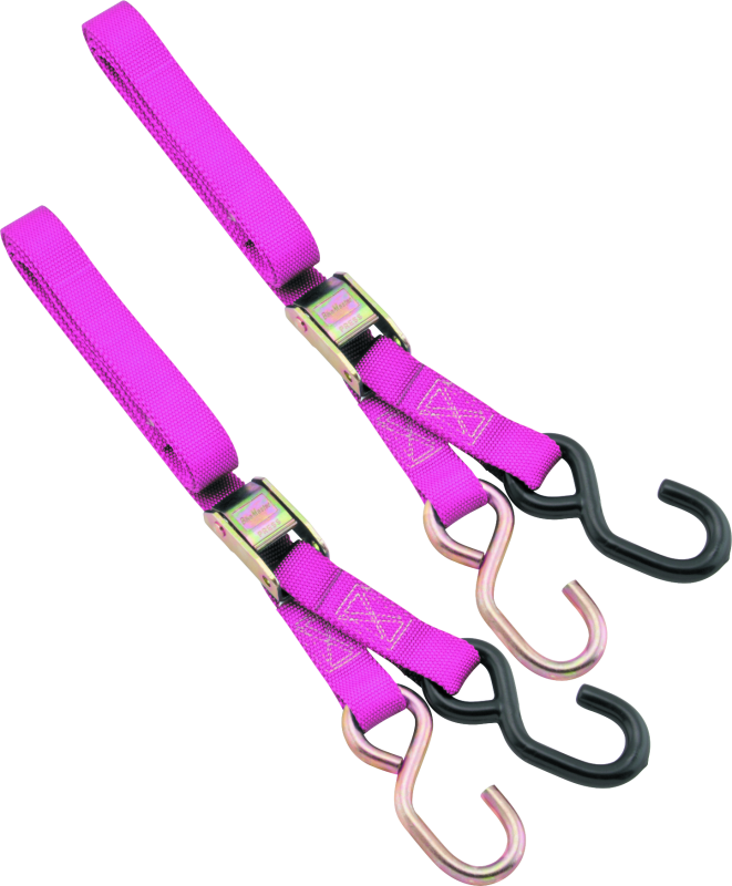 BikeMaster 1in Tiedown - Pink 100503 100503 Photo - Primary