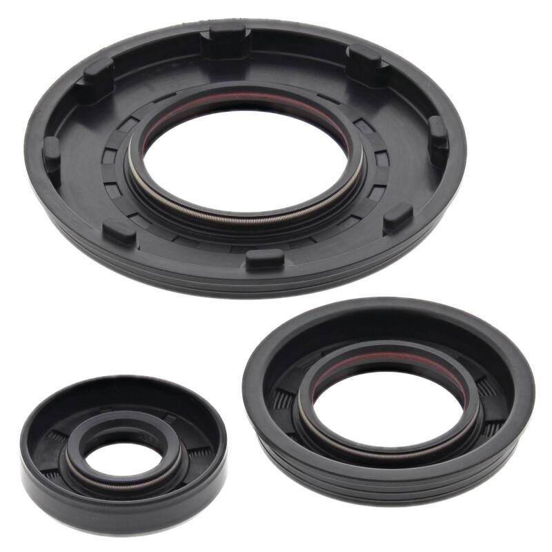 Vertex Pistons Vertex Gaskets 2006 Polaris 700 Classic EFI Oil Seal Kit 55214 55214 Photo - Primary