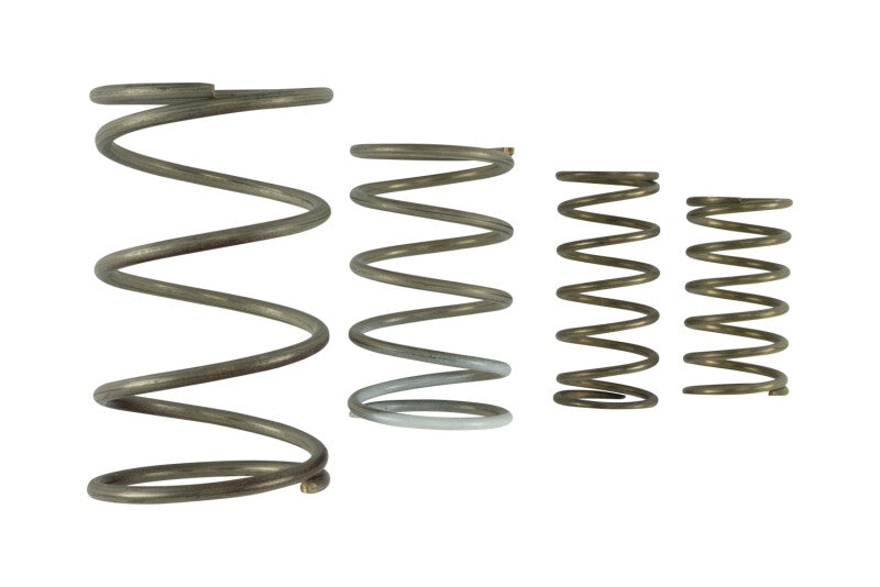 Turbosmart Gen V WG60 Spring Replacement Kit TS-0550-3152 TS-0550-3152 Photo - Primary