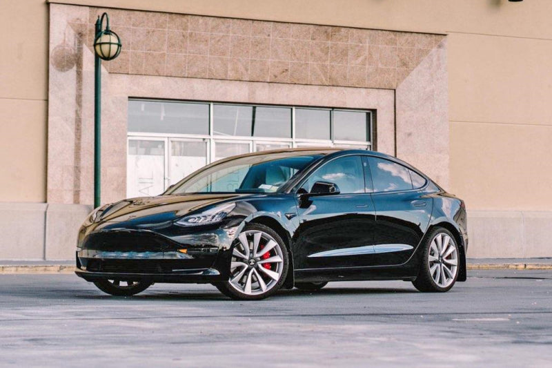Rally Armor 17+ Tesla Model 3 UR Black Mud Flap w/ White Logo MF62-UR-BLK/WH MF62-UR-BLK/WH User 2