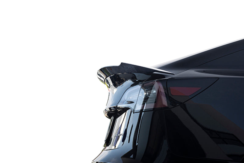 MXP 2017+ Tesla Model 3 T3-1 Wet Carbon Rear Spoiler MCPT3-2W MCPT3-2W User 1