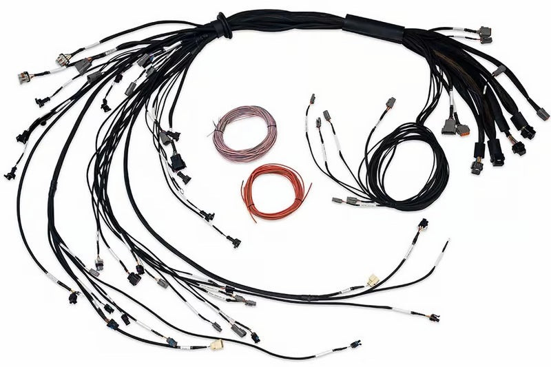 Haltech Nexus R5 LSx Non DBW Terminated Harness HT-186206 HT-186206 User 1