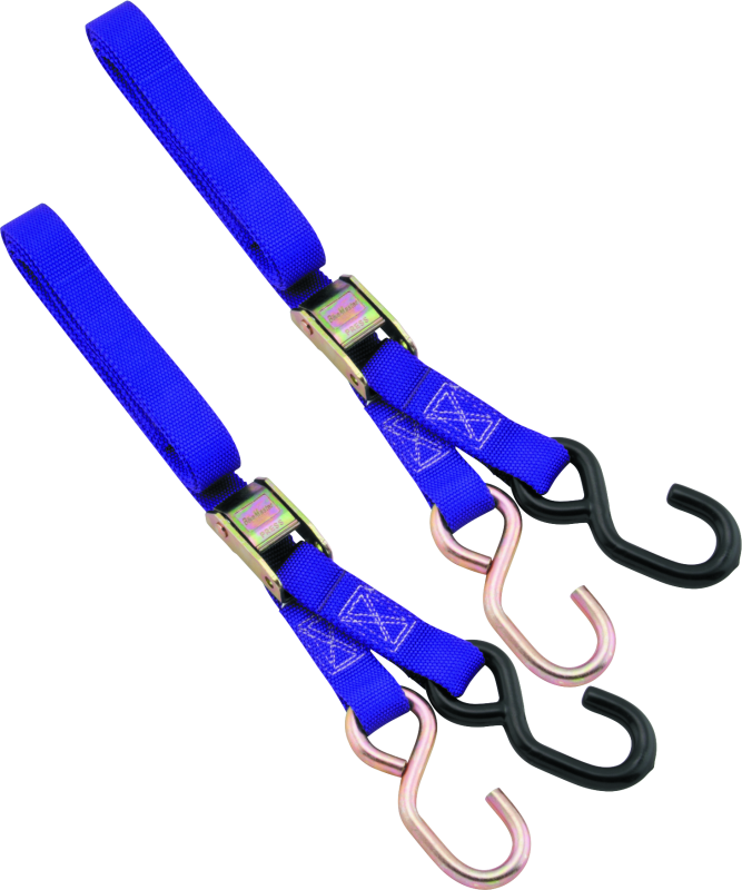 BikeMaster 1in Tiedown - Purple 100512 100512 Photo - Primary