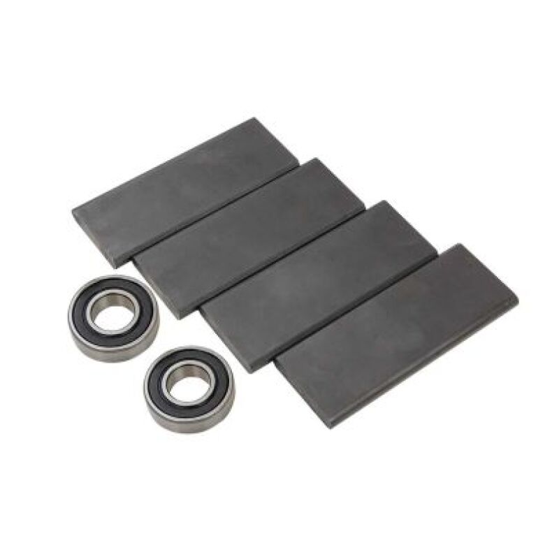 Moroso Large Style Vacuum Pump Vane Kit (For 22843) 97186 97186 User 1