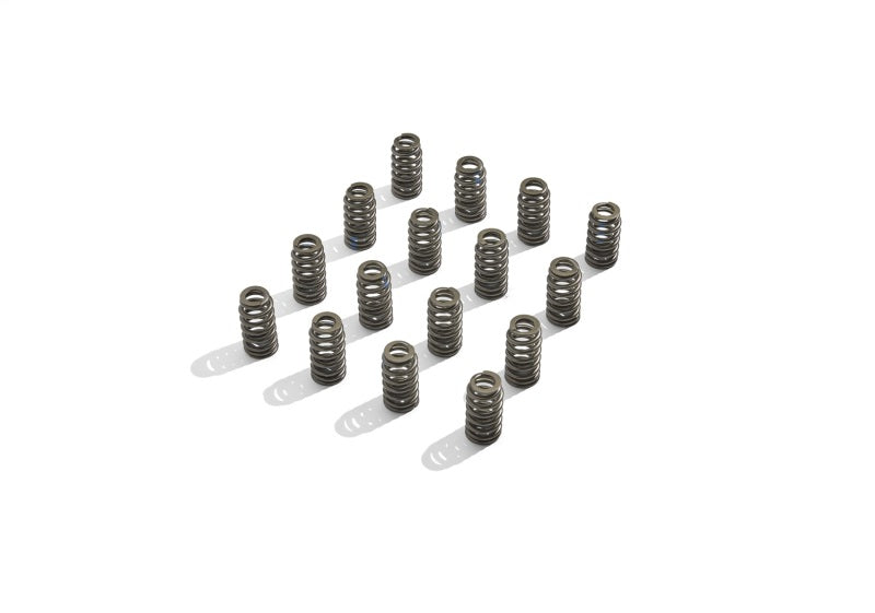 Ford Boss 302R Valve Spring Kit 2011-up 5.0L Engine FRDM6513-M50BR M-6513-M50BR Photo - Unmounted
