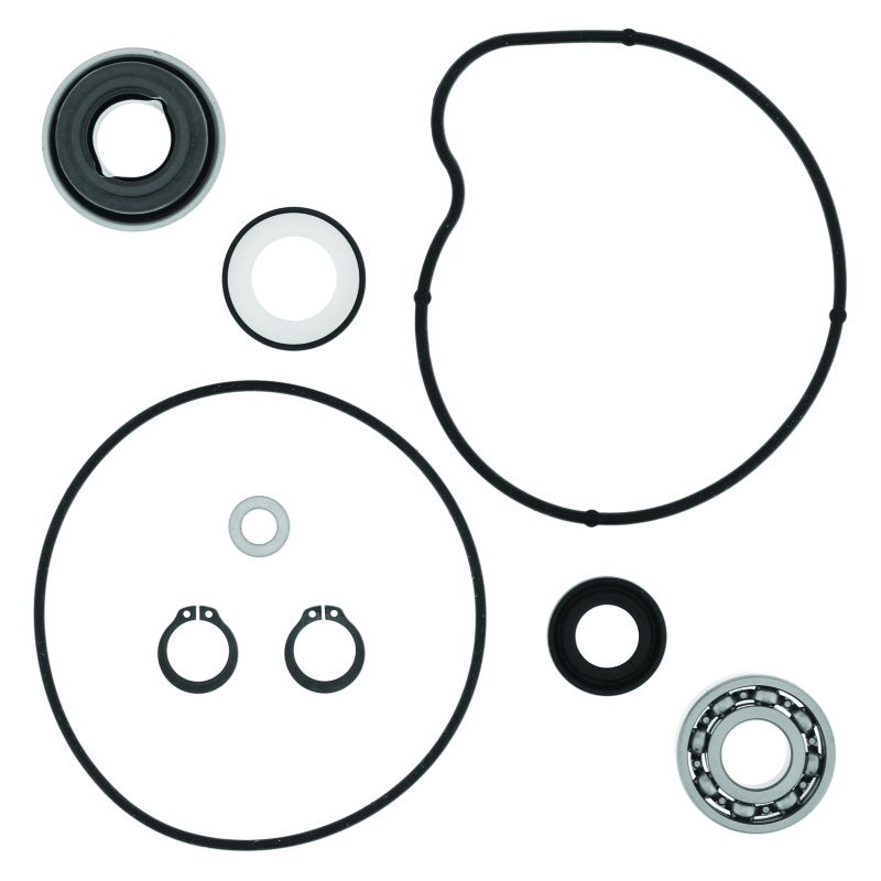 QuadBoss Qb Water Pump Rebuild Kit 565268 565268 Photo - Primary