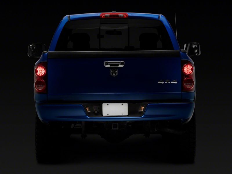 Raxiom 02-10 Dodge RAM 1500/2500 Axial Series OE Replacement License Plate Lamps R145024 R145024 Photo - Close Up