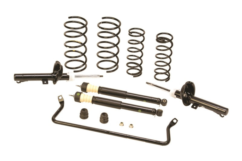 Ford Performance Parts Ford Racing 2000-2005 Focus Suspension Kit M-3000-ZX3 Photo - Primary
