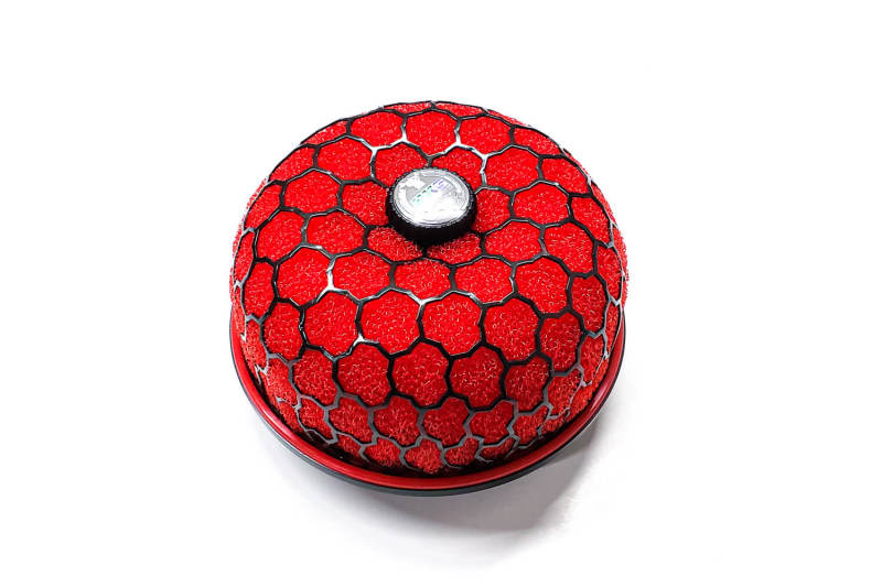 HKS SPF ASSY 150-70 Wet 2row (RED) 70019-AK108 70019-AK108 User 1