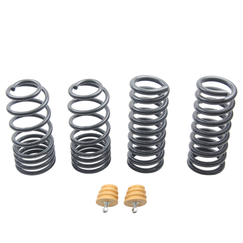 ST Sport-tech Lowering Springs Ford Mustang 3rd gen. / 4th gen. 60090 60090 Photo - Primary