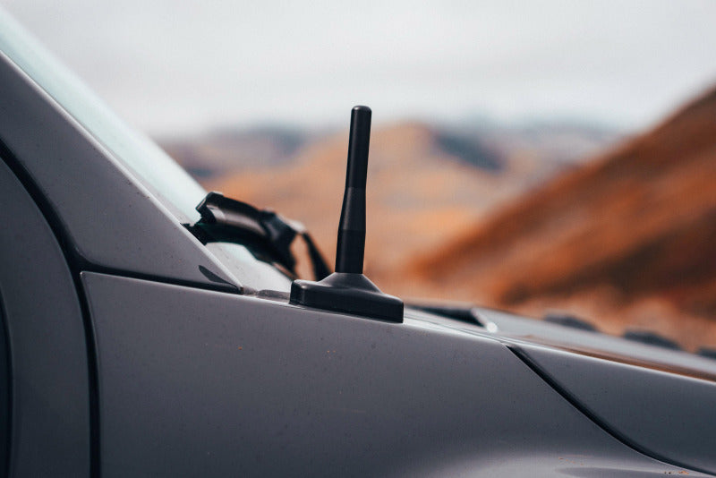 BuiltRight Industries 09-14 Ford F-150 / Raptor Perfect-Fit Stubby Antenna 110012 110012 Photo - Mounted