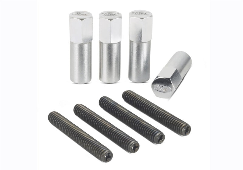 Ford Valve Cove Bolt Kit 4pk Chrome w/Ford Logo FRD302-315 302-315 Photo - Unmounted