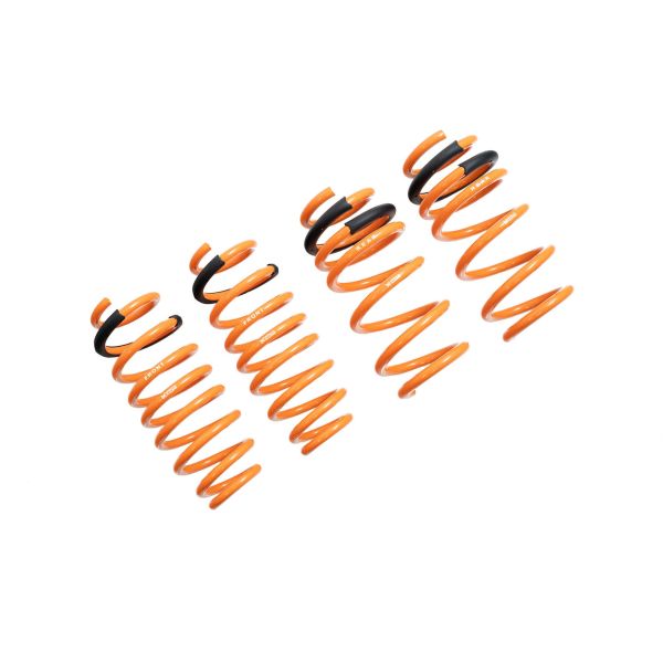 Megan Racing Lowering Springs Tesla Model 3 17+