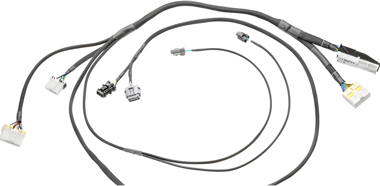 Wiring Specialties Connector Plug Closeup - LSx Gen IV DBC Wiring Harness for S14 Silvia RHD JDM PRO Series WRS-PROLSXG4-S14RHD