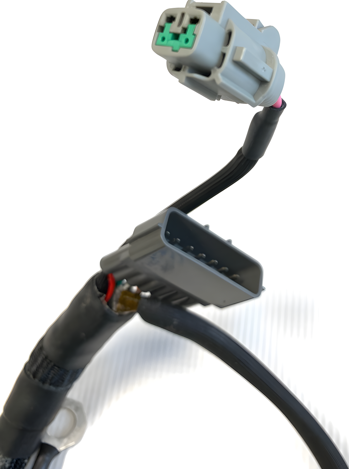 Wiring Specialties Detail Assembly - RB25 Harness OEM Series Audi R8 S1 Smart Coil Conversion WRS-RB25S1AUDICOIL-OEM