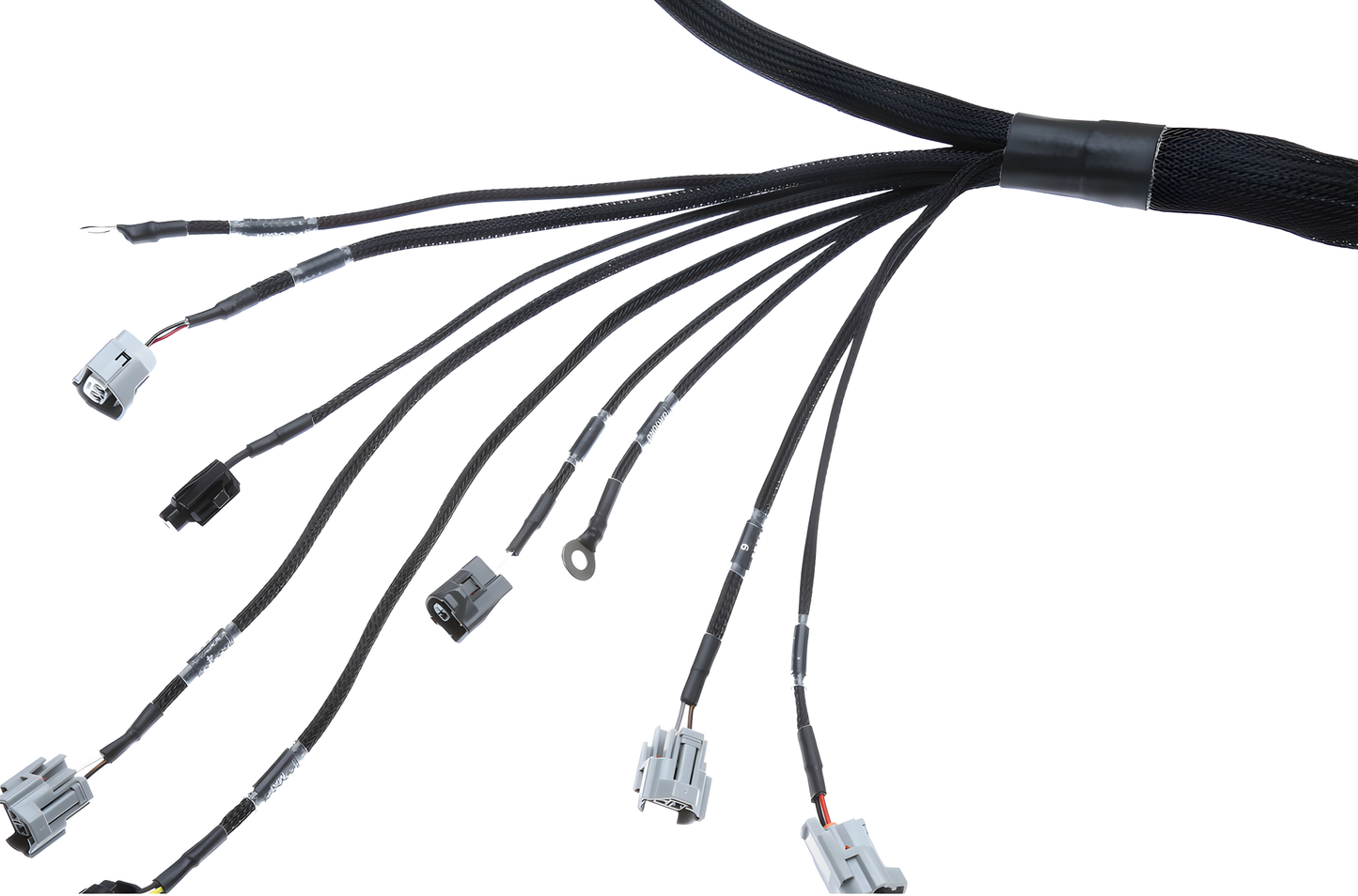 Wiring Specialties Wire Routing Diagram - 2JZGTE / 2JZGE VVTi PRO Series Harness for R32 Skyline GT-S WRS-PRO2JZVVTI-R32GTS