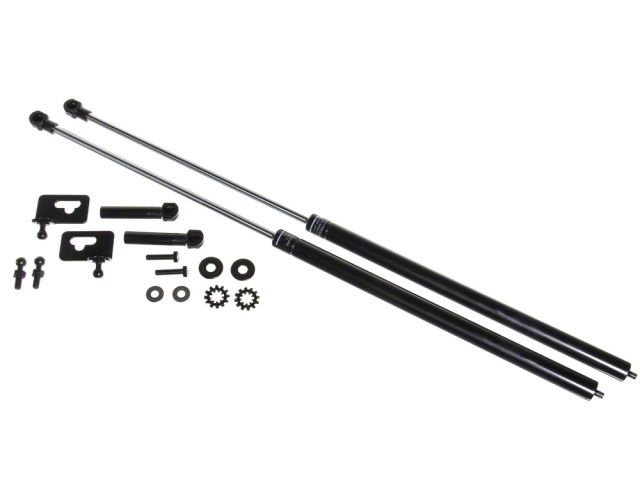 P2M Hood Dampers P2-BHDHS2K-TP Item Image