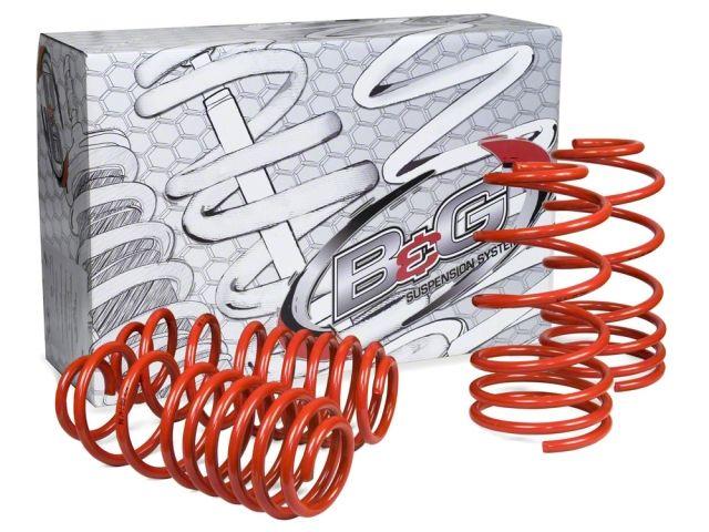 B&G Suspension Lowering Springs 06.1.101 Item Image