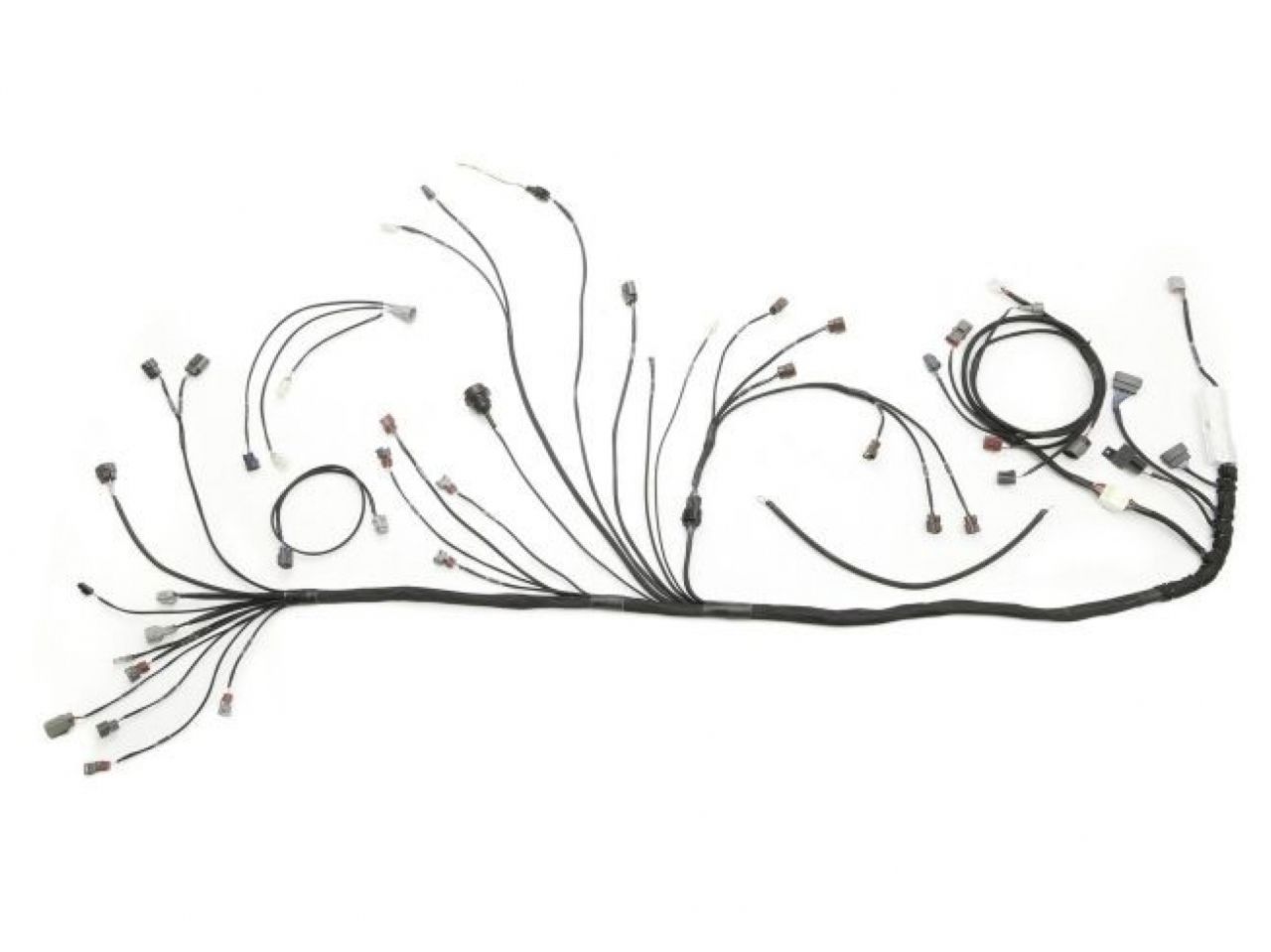 Wiring Specialties Engine Harness-Conversion WRS-PRORB20-E36 Item Image