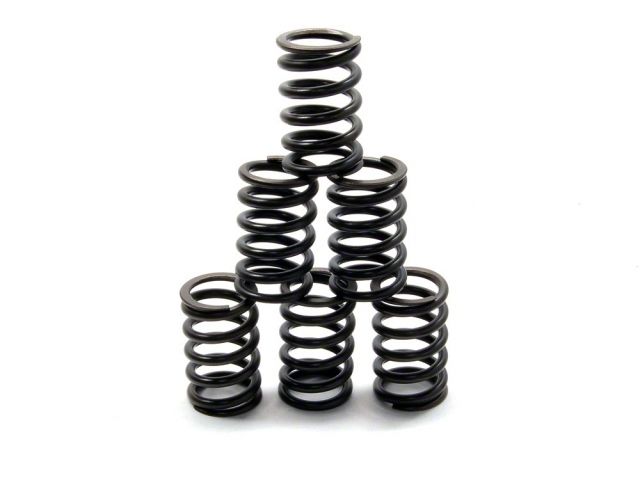 Toda Uprated Valve Springs Set SR20DET