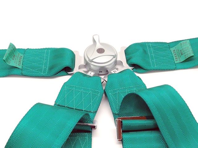 Takata 4 Point Professional Race Harness 2 Seater (SHORT)