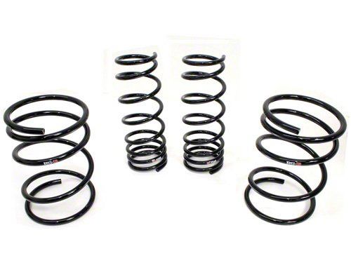 RS-R Lowering Springs T550TW Item Image