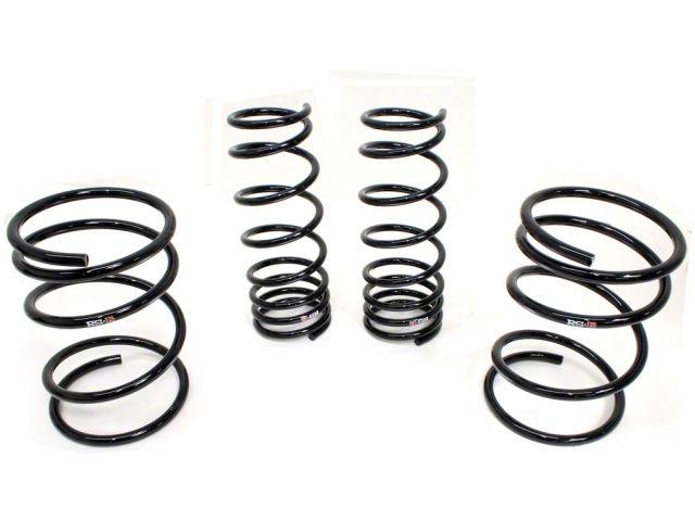 RS-R Lowering Springs 30-N020 Item Image