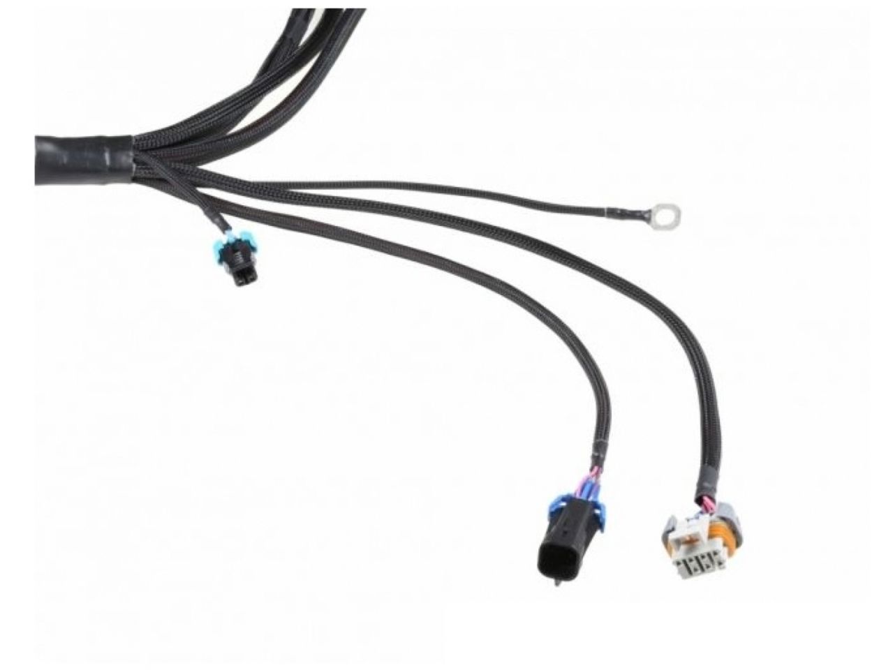Wiring Specialties LS1 / Vortec Wiring Harness for S13 240sx - PRO SERIES