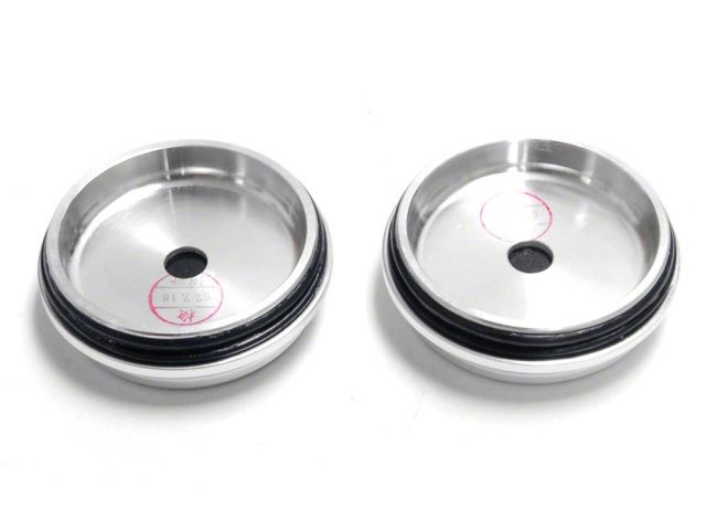 Rays GT CENTER CAP LOW TYPE 0JVQB