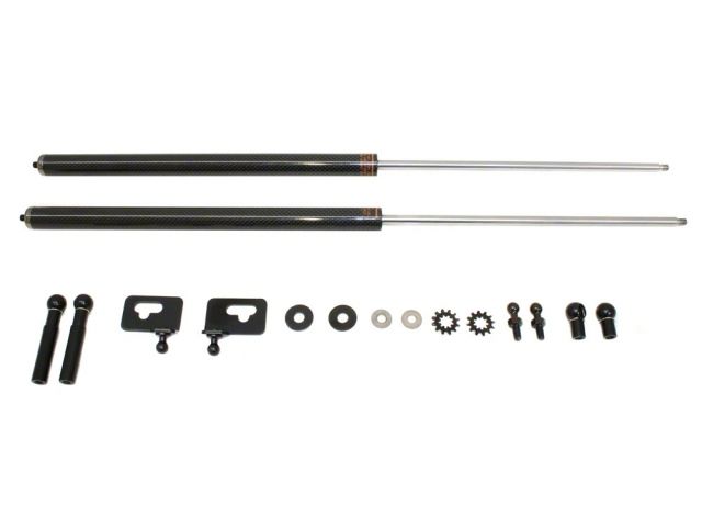 Circuit Sports Hood Dampers EHD-HS2KC-TP Item Image
