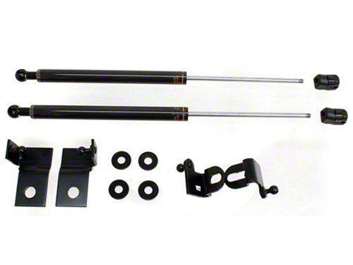 Circuit Sports Hood Dampers EHD-N14C-TP Item Image