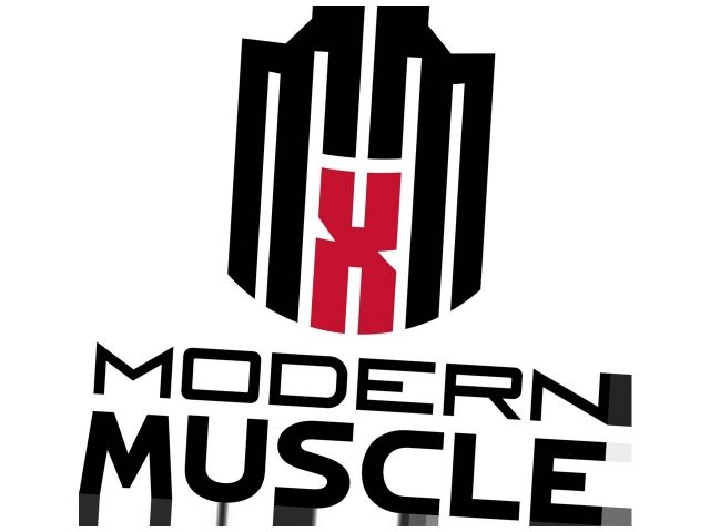 Mr Gasket Exhaust Manifold Gasket Set