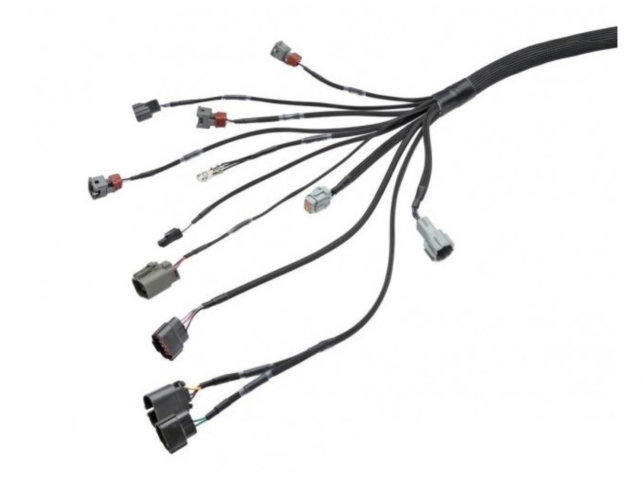 Wiring Specialties RB20DET Wiring Harness for BMW E36 - PRO SERIES