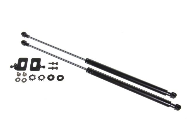 P2M Hood Dampers P2-BHDTYAE86-TP Item Image