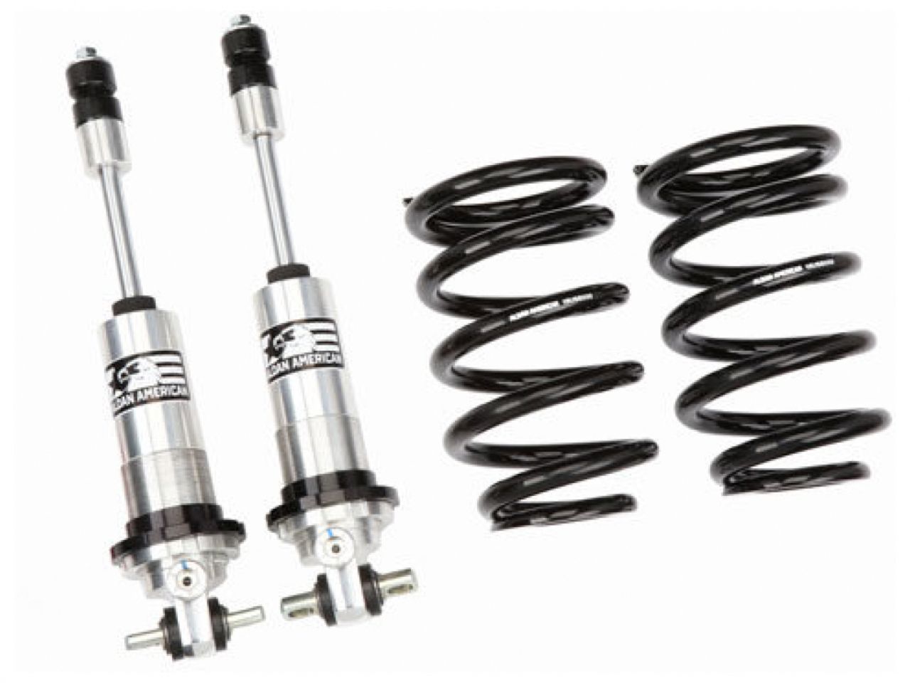 Aldan American Coilover Spring and Shock Assembly