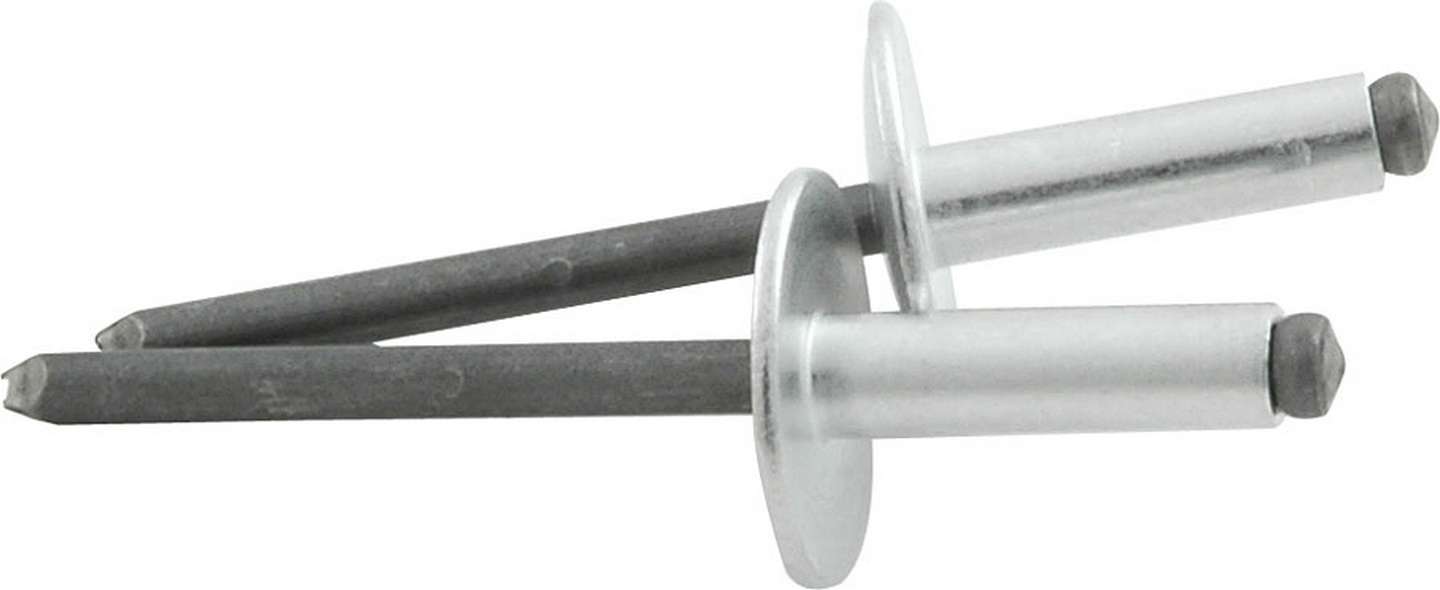 Allstar Performance Lg Hd Rivet Silver 250pk ALL18147