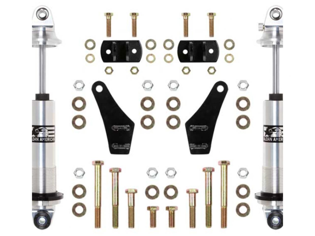 Aldan American Coilover Spring and Shock Assembly