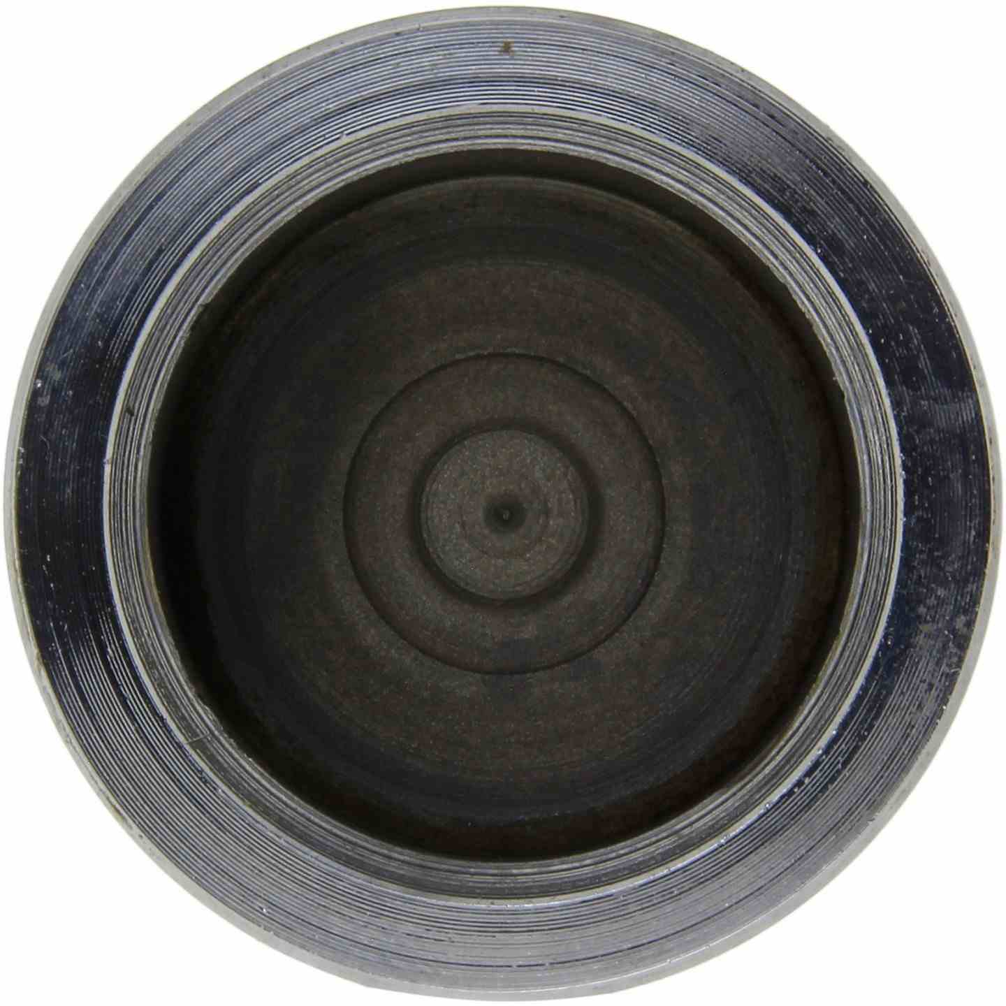 Centric Parts Caliper Piston top view frsport 146.35018