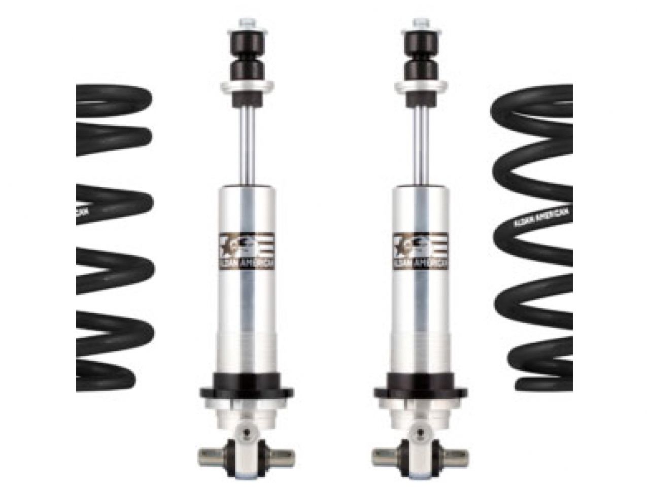 Aldan American Coilover Spring and Shock Assembly