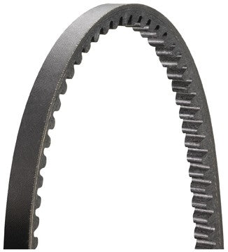 Drive Rite Accessory Drive Belt  top view frsport 15235DR