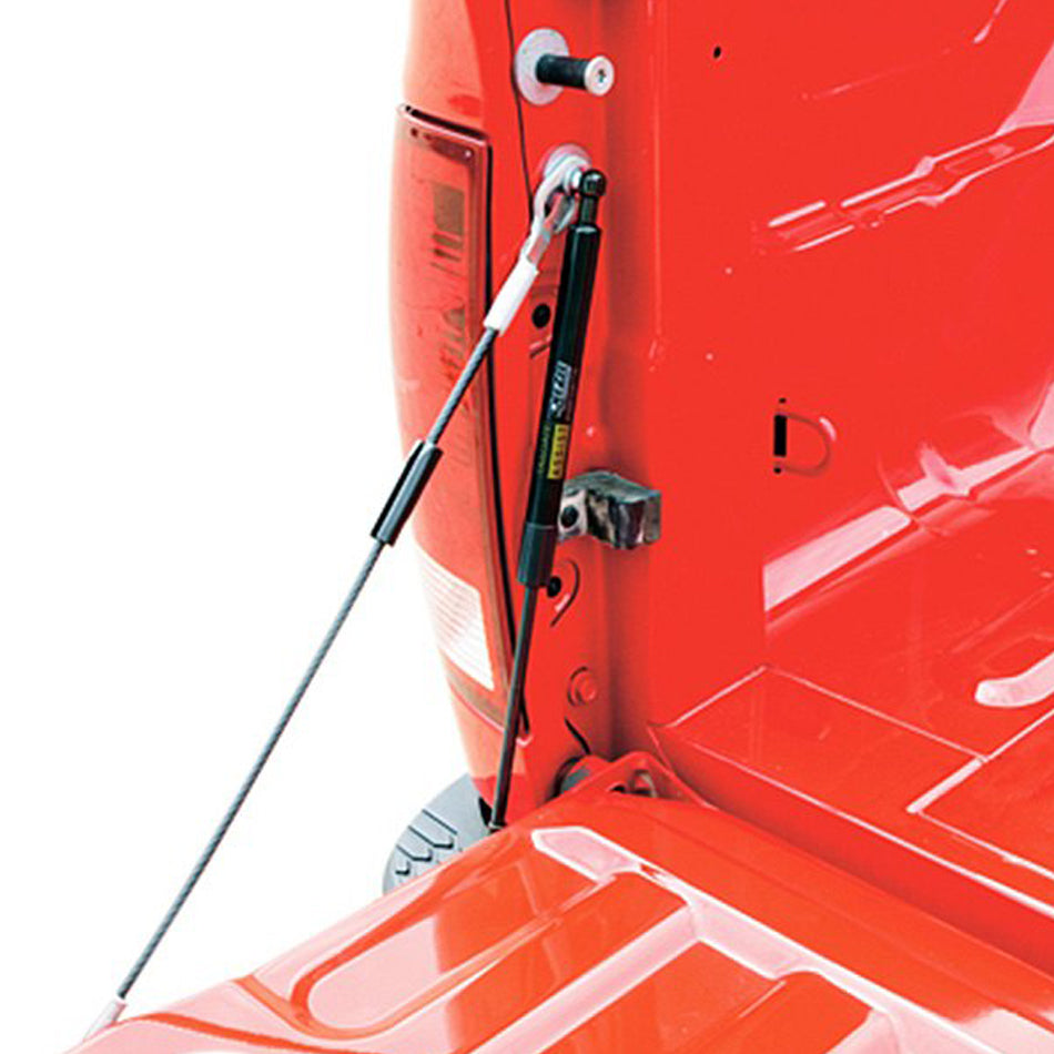Dee Zee Manufacturing 19- Dodge Ram Tailgate Assist DZZ43302
