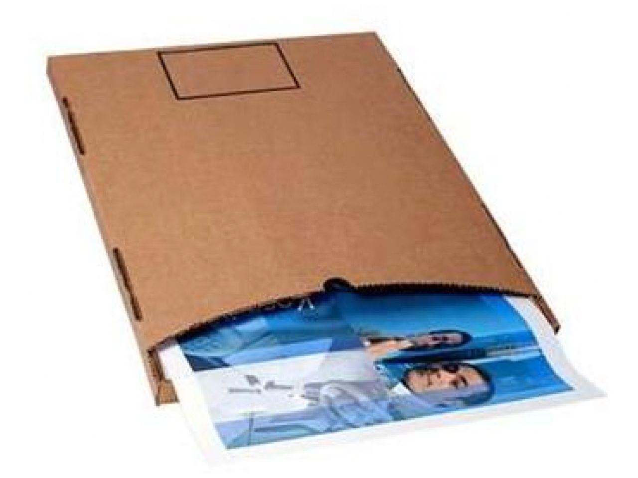3M Vehicle Parts 36901 Item Image