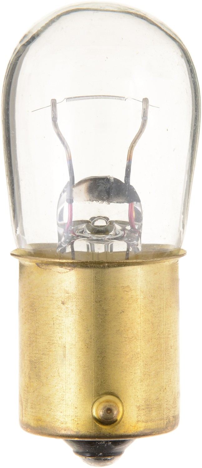 Philips Tail Light Bulb top view frsport 1003CP