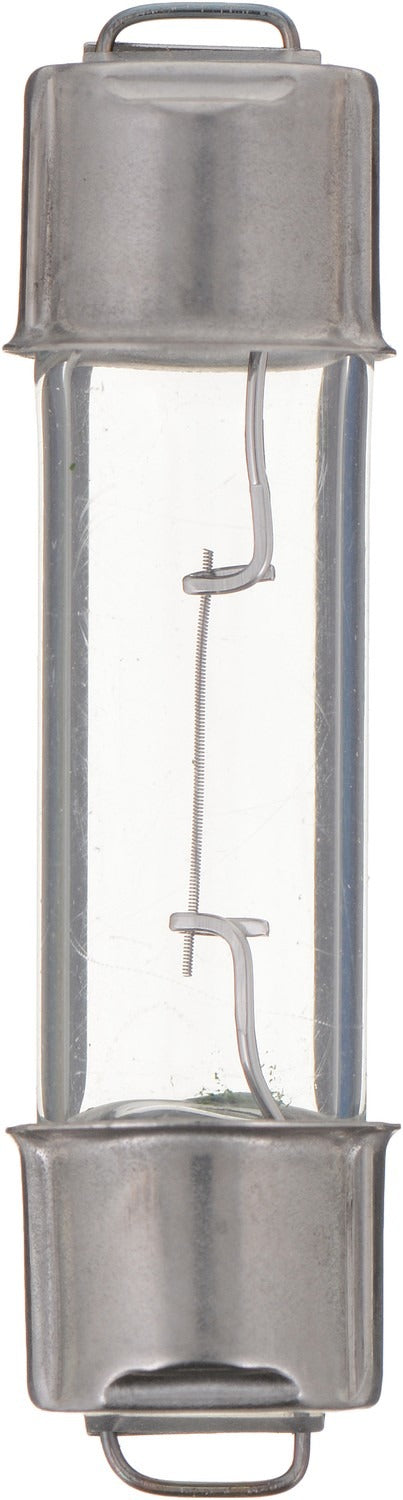 Philips Dome Light Bulb top view frsport 212-2CP